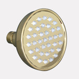 Thornton Rainfall Nozzle Shower Head