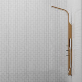 Truro Thermostatic Stainless Steel Shower Panel with Hand Shower - Brushed Bronze Finish