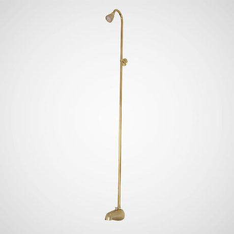 Tub Spout for Fixed Shower with Riser and Shower Head